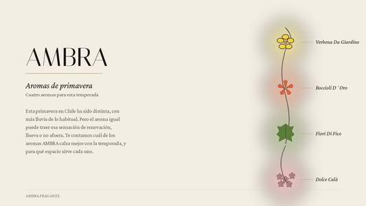 Ilustración a color de ramas florales para los cuatro aromas de primavera AMBRA: Verbena Da Giardino, Boccioli Dóro, Fiori Di Fico y Dolce Calà, con resumen del artículo